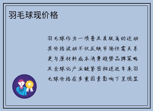 羽毛球现价格